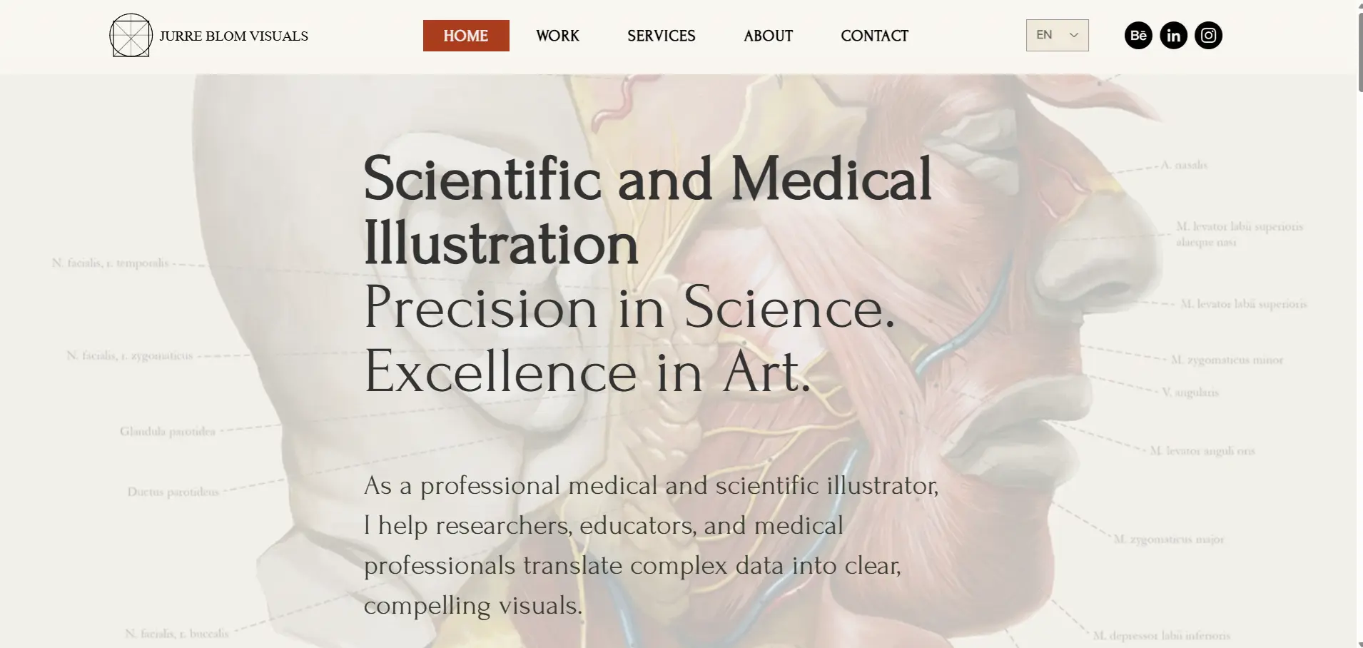 jurreblom.nl-etusivu: hero-alueessa anatominen kuvitus, H1 'Scientific and Medical Illustration Precision in Science. Excellence in Art.' ja navigaatio (Home, Work, Services, About, Contact)